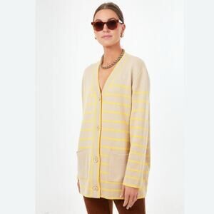 Tuckernuck Chai Striped Lauren Cardigan Oversized Button Front Pockets Size XXL